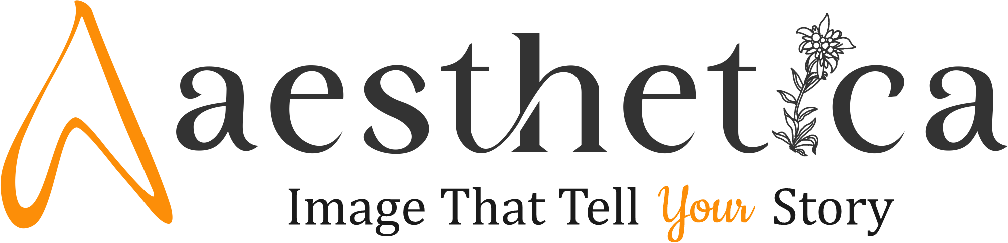 Website Logo